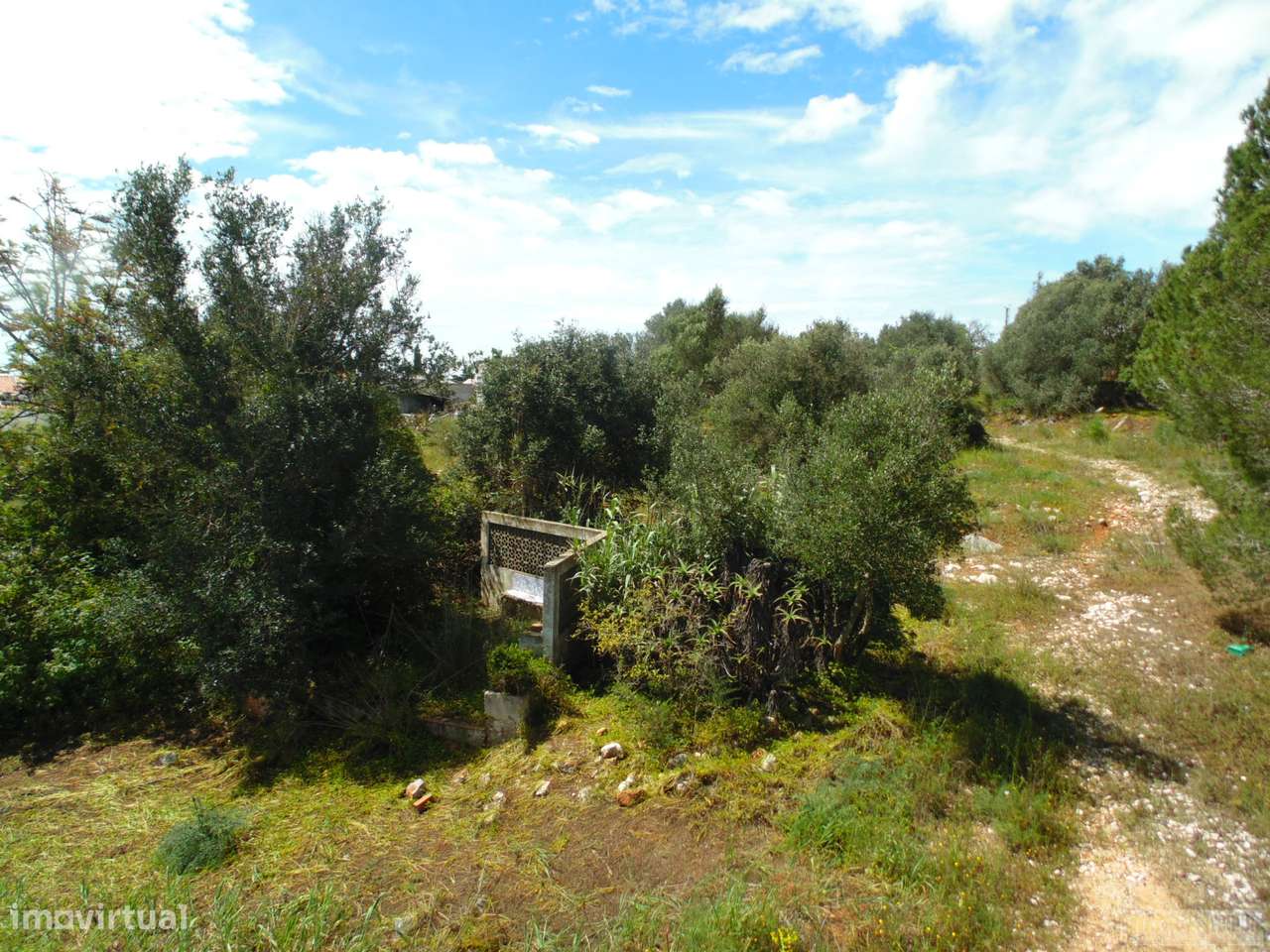 Lote de terreno para loteamento em Mexilhoeira grande. - Grande imagem: 3/18