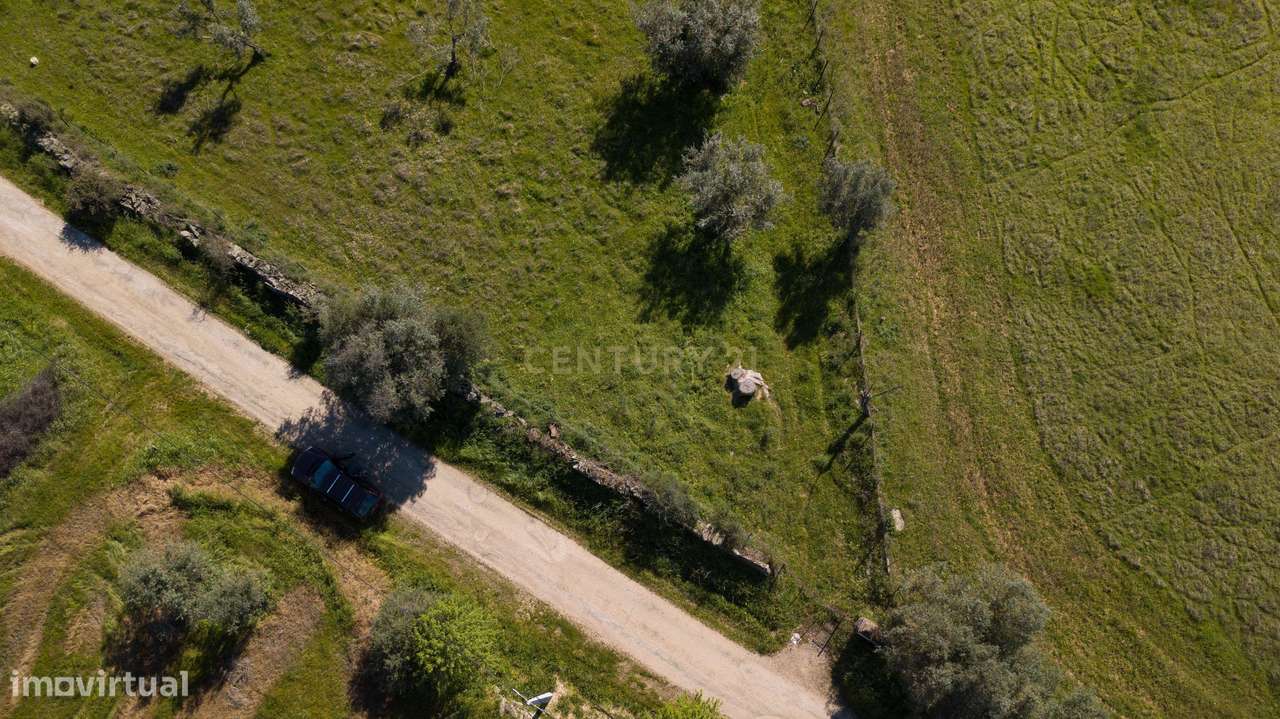 Terreno Mourão - Alentejo-6