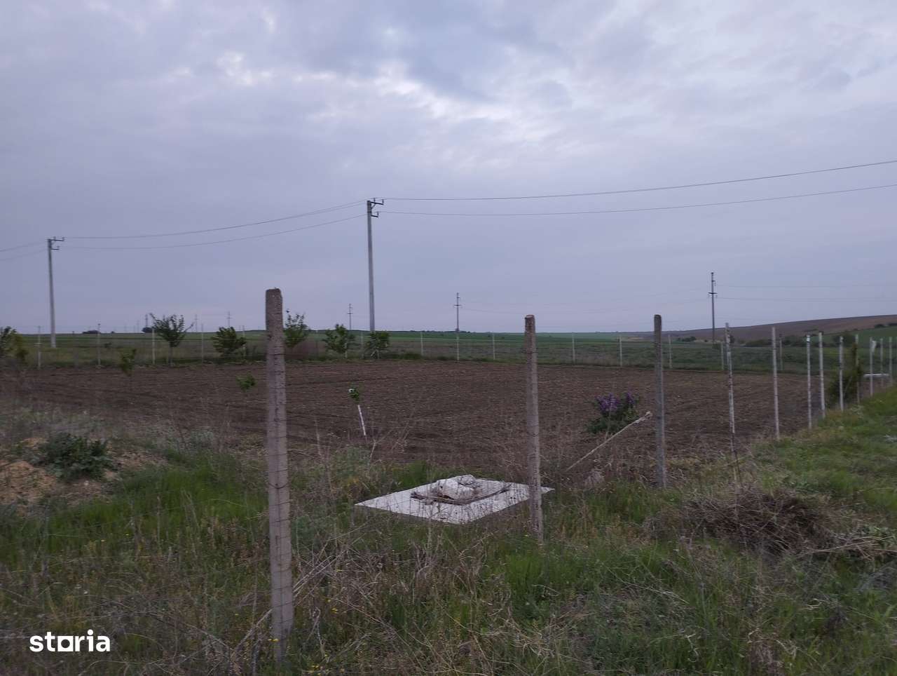 TEREN 800 MP SENDRENI - Imagine principală: 5/6