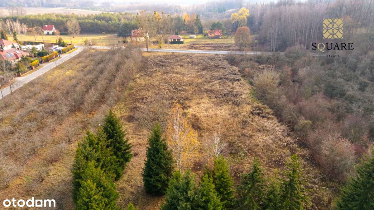 Słomczyn Konstancin- Jeziorna działka-7