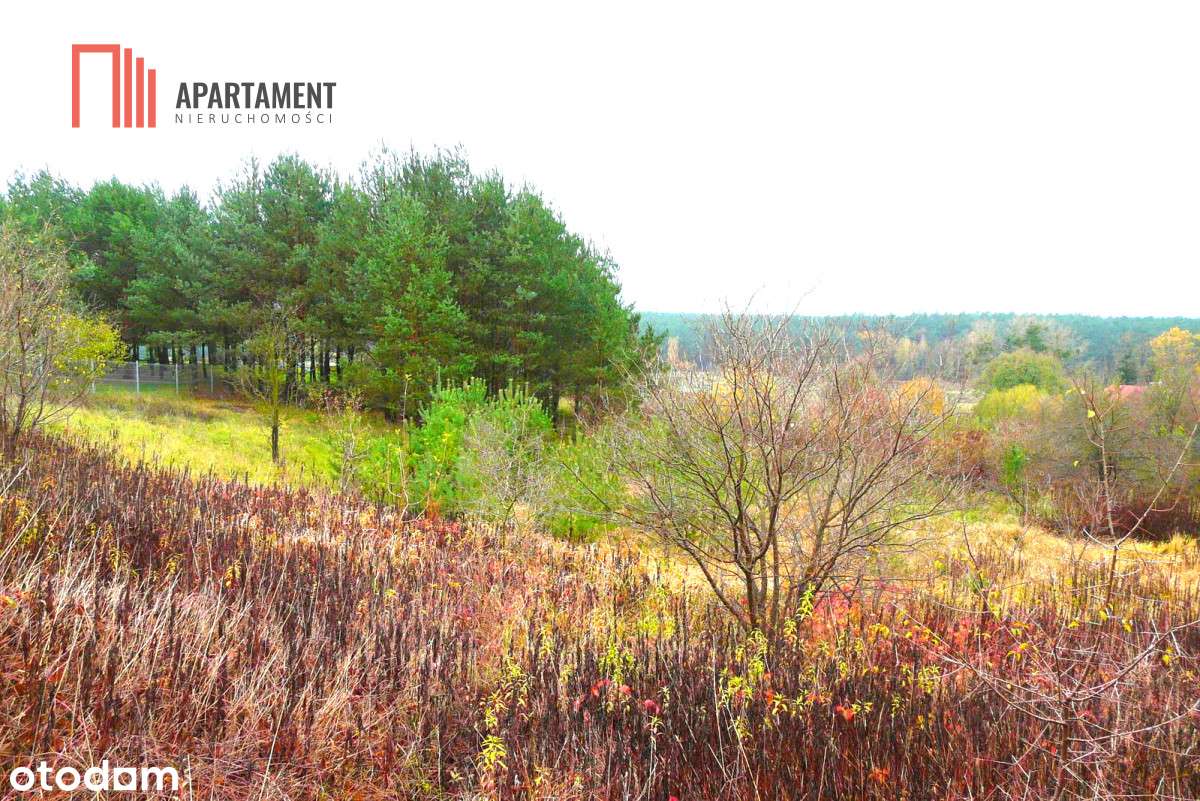 Oferta Tylko Dla Konesera, Prestiż  w mieście! - Pełny obrazek: 3/5