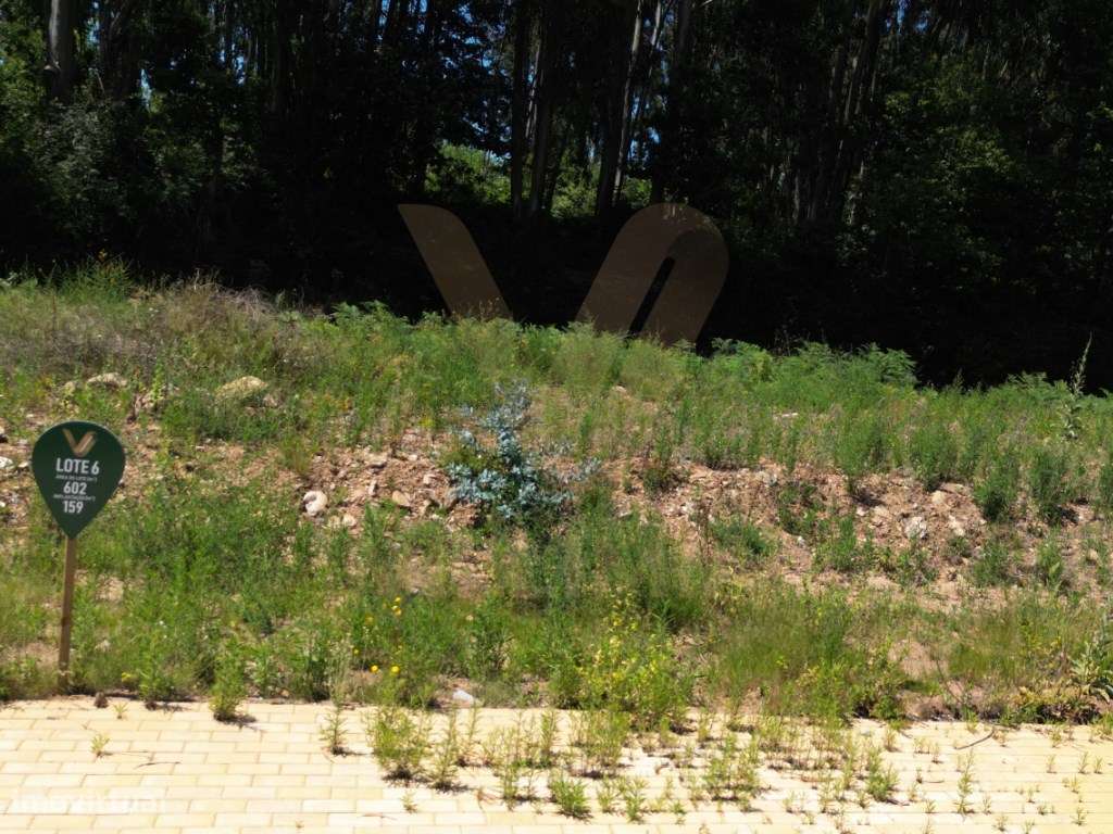 Lote Nº6 de terreno com 603m2 - Ponte de Lima - Grande imagem: 3/8