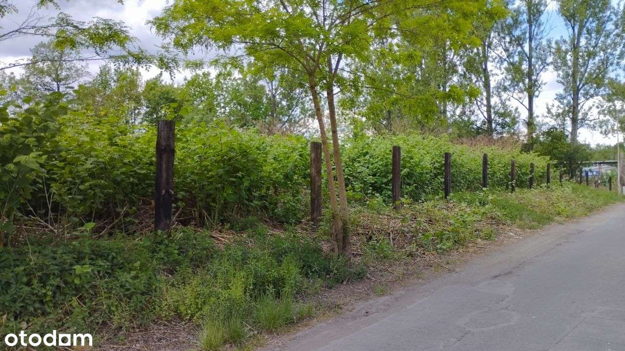 Przemysłowa działka gruntu niezabudowana - Pełny obrazek: 5/7