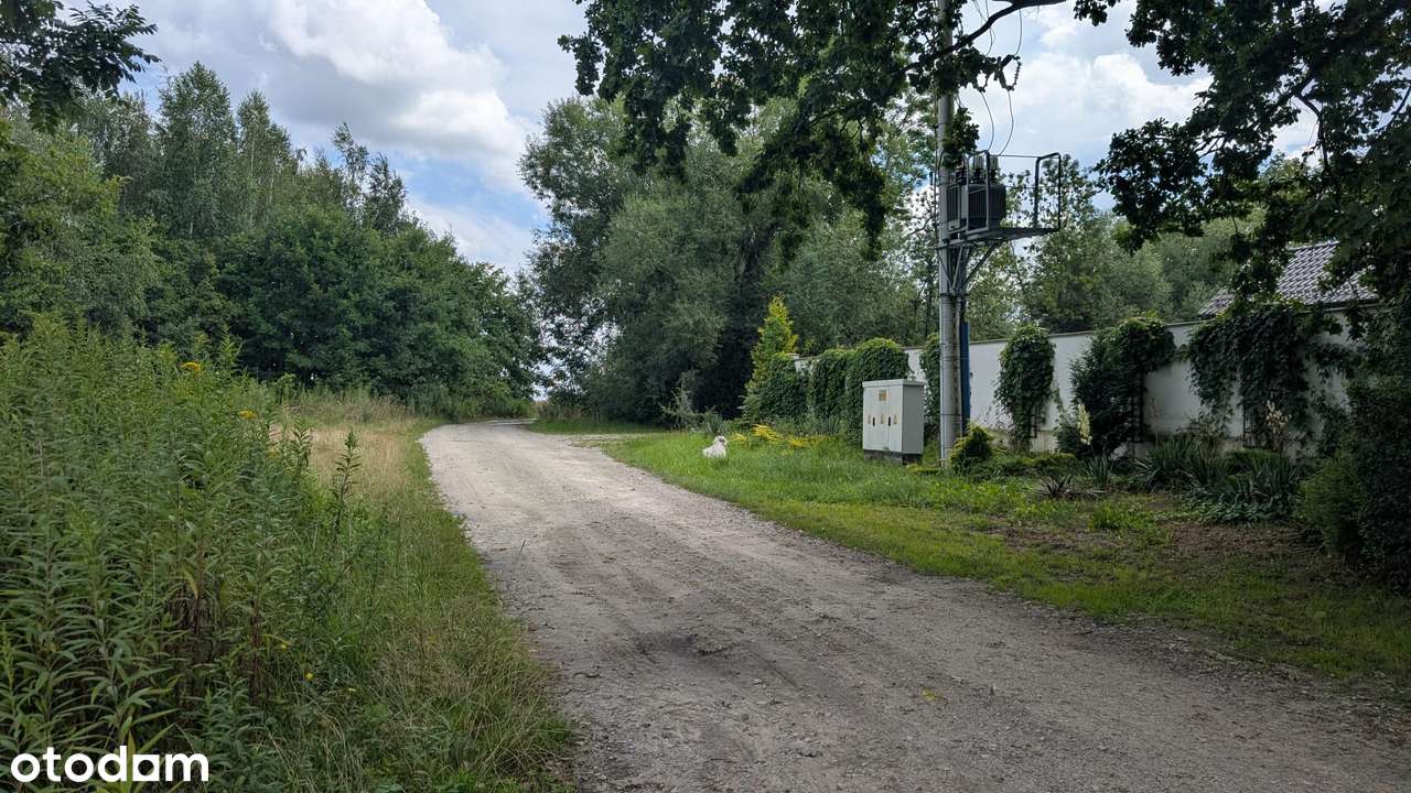 Nieciszów – duże działki  MPZP  Rezerwacja do 20.01-8