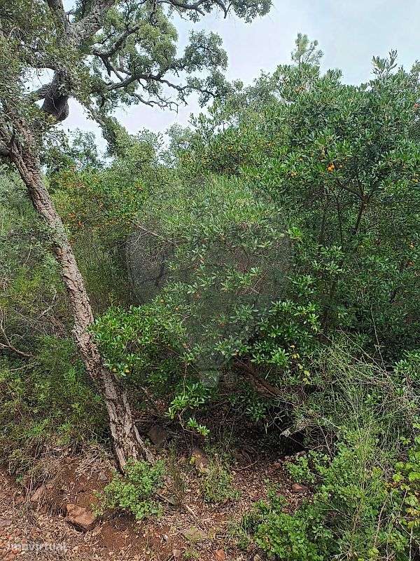 Terreno  para venda - Grande imagem: 3/7