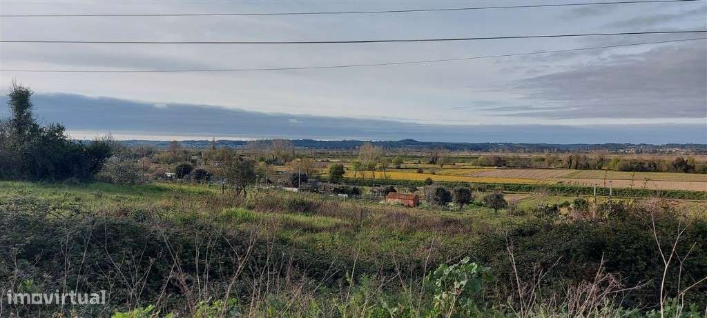 Tereno para Construção em Pereira, Coimbra - Grande imagem: 5/13