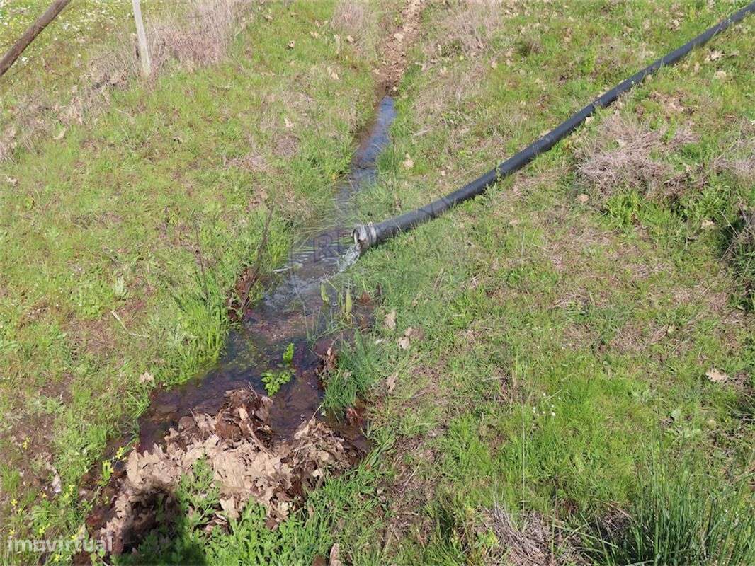 Quinta  para venda - Grande imagem: 3/50