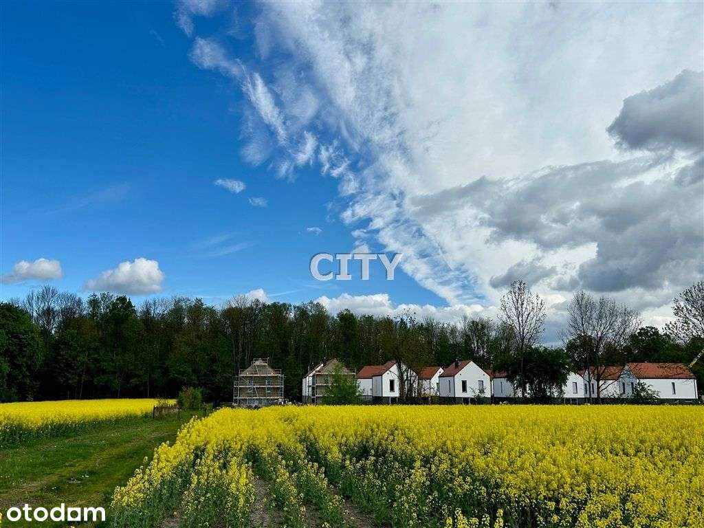Działka W Otoczeniu Lasu - Pełny obrazek: 2/3