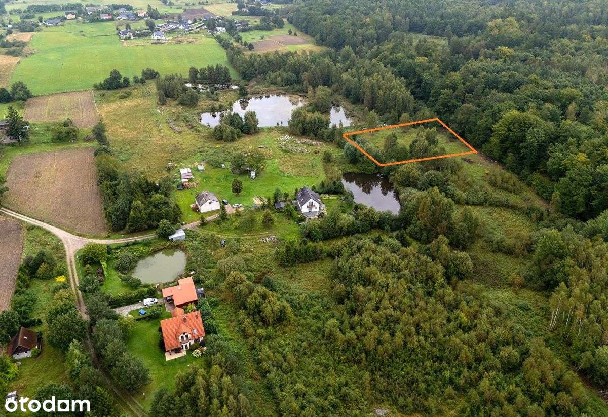 Duża działka przy lesie z widokiem na staw / WZ-1