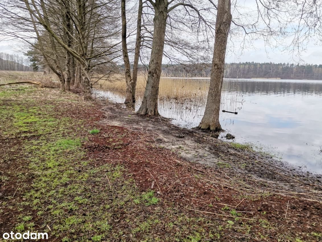 Działka budowlana z linią brzegową jeziora