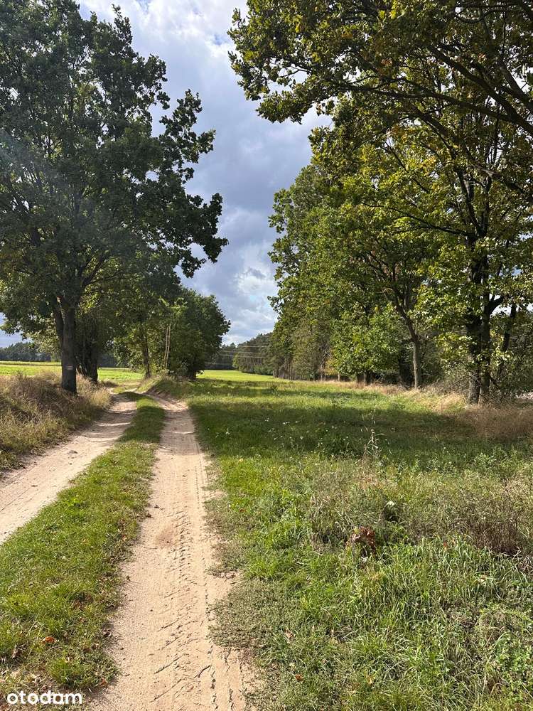 Atrakcyjna działka budowlana przy lesie, wieś Śrem k.Sierakowa-7