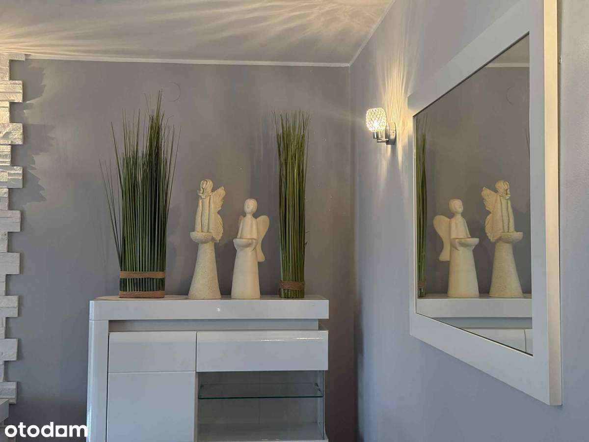 Funkcjonalny bliźniak w Lipnie Leszno-4