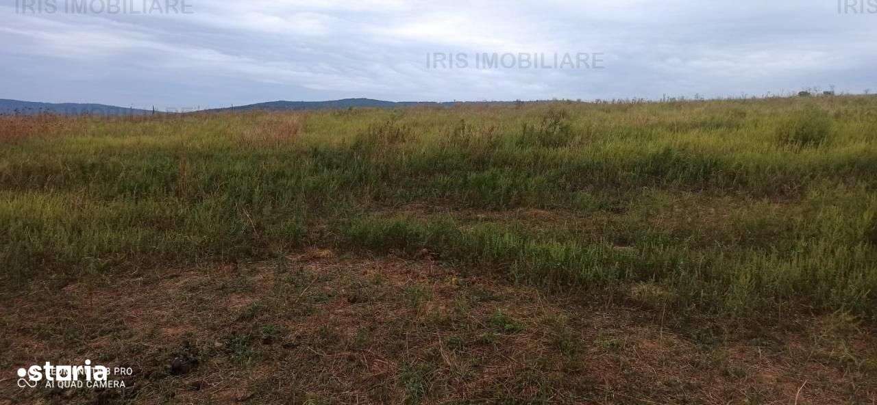 11500euro!Teren intravilan,priveliste superba,ideal constructie casa! - Imagine principală: 3/3