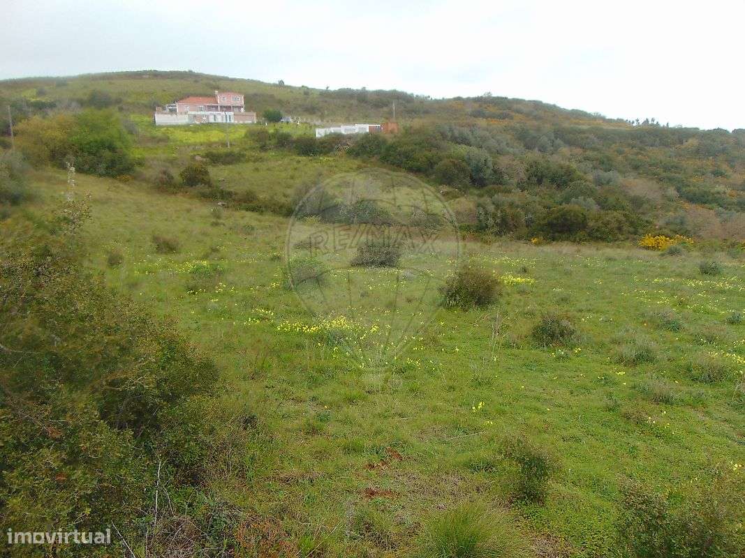 Terreno  para venda - Grande imagem: 4/5