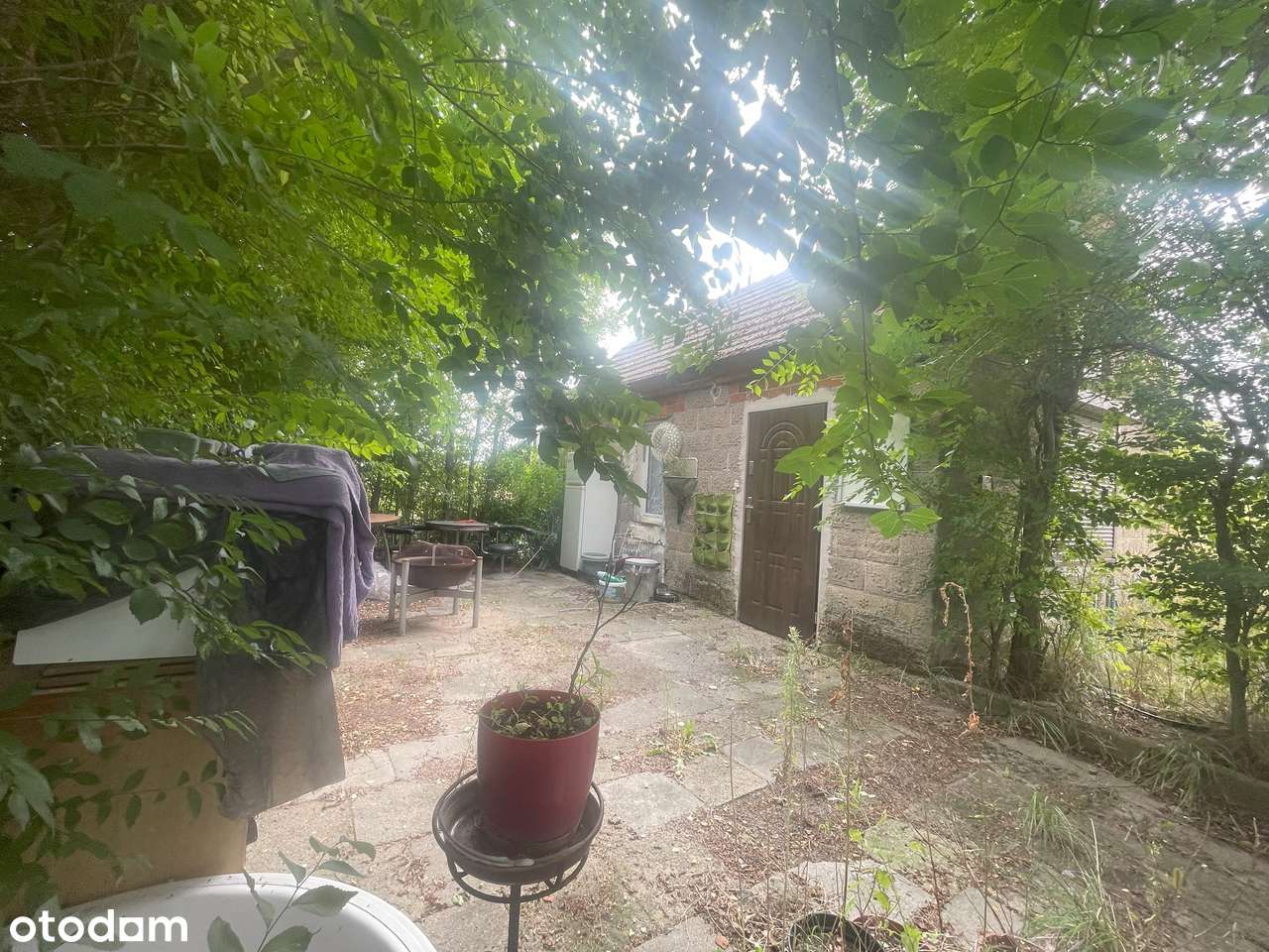 Okazja Działka z budynkiem gospodarczym – Straszków, gm. Kościelec - Pełny obrazek: 4/6