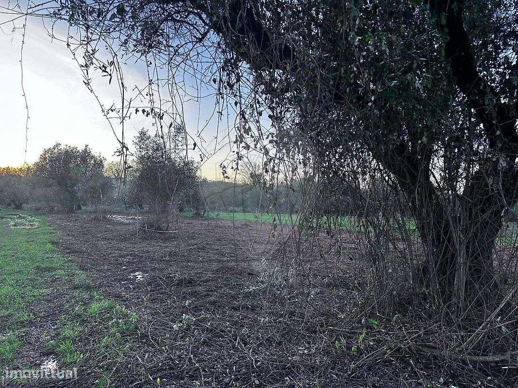 Terreno  para venda - Grande imagem: 5/14