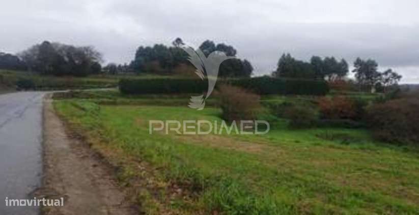 Terreno Rústico em Lamas - Mozelos – Paredes de Coura - Grande imagem: 2/8