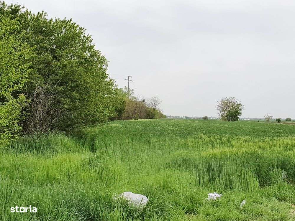 Vidra, Sat Cretesti, stradal - Imagine principală: 4/10