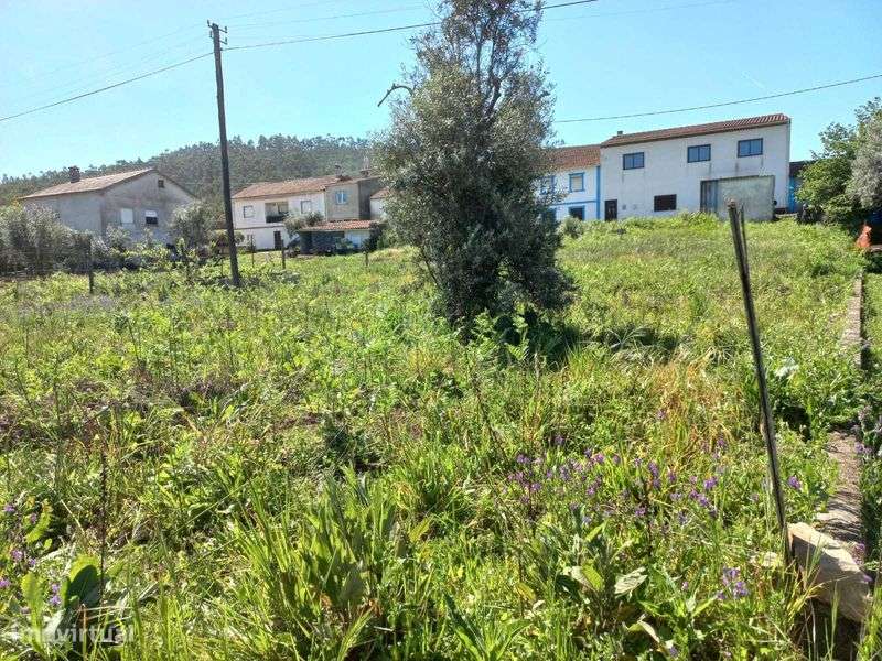 Terrenos nas aldeias do Penedo e Almofala  - Vila de Rei - Grande imagem: 4/6
