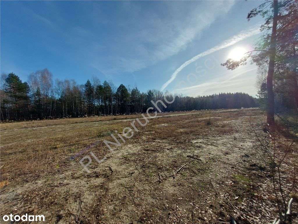 Ostatnia - Piękna Działka W Dobrej Cenie-8