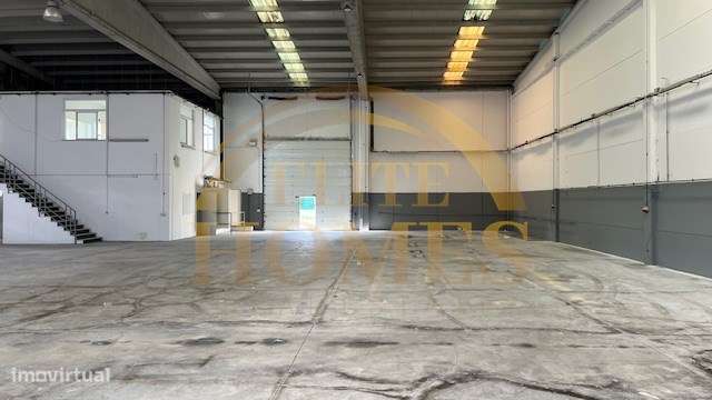 Armazém para venda na Quinta do Anjo.-12