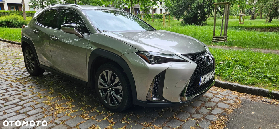 Lexus UX - 15