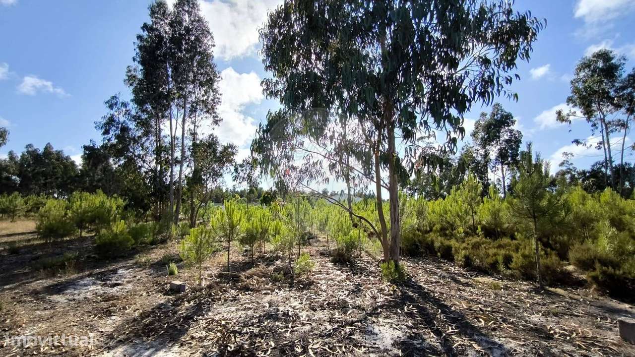 Terreno  para venda - Grande imagem: 5/14