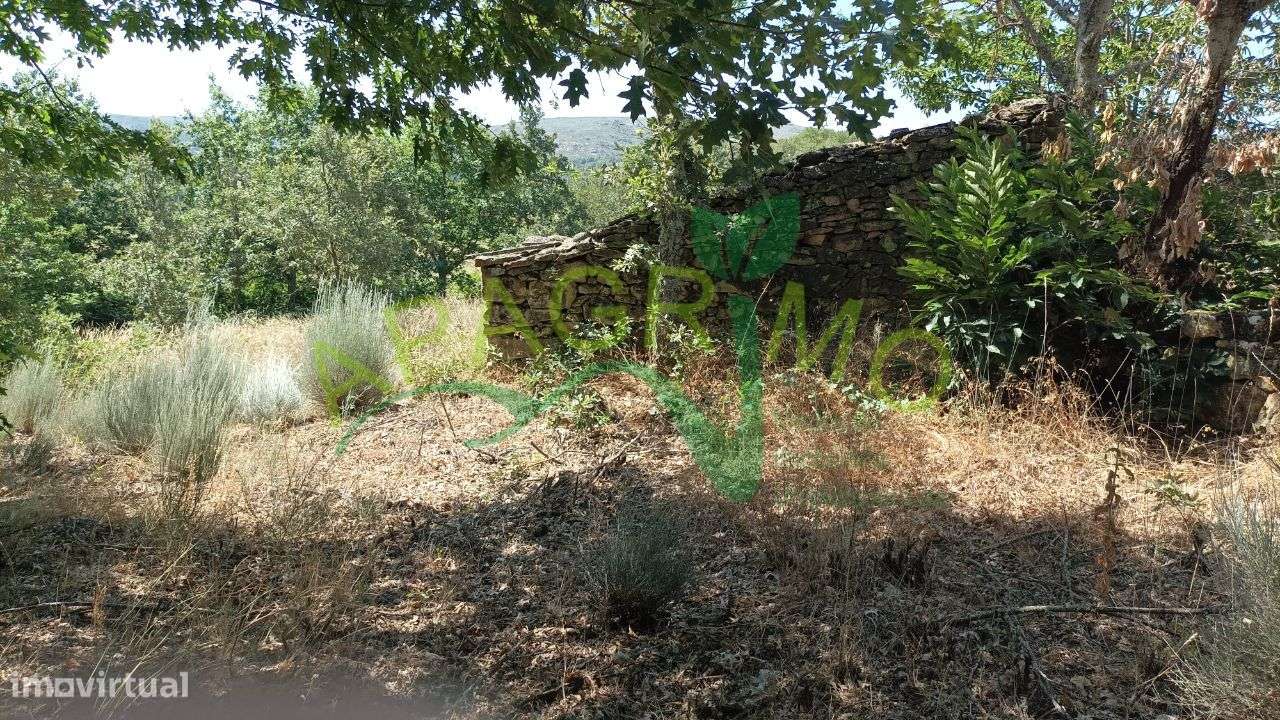 Terreno rústico "Linhares" em Penela da Beira, Penedono - Grande imagem: 5/21