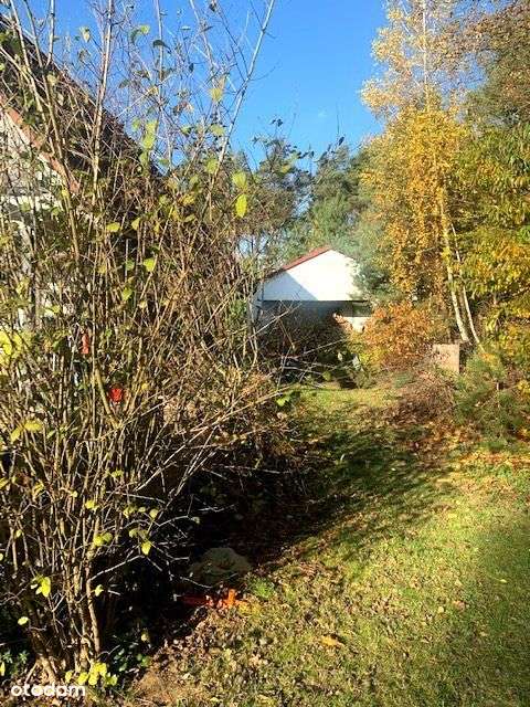 Piękny dom w lesie.., Dabcze-12