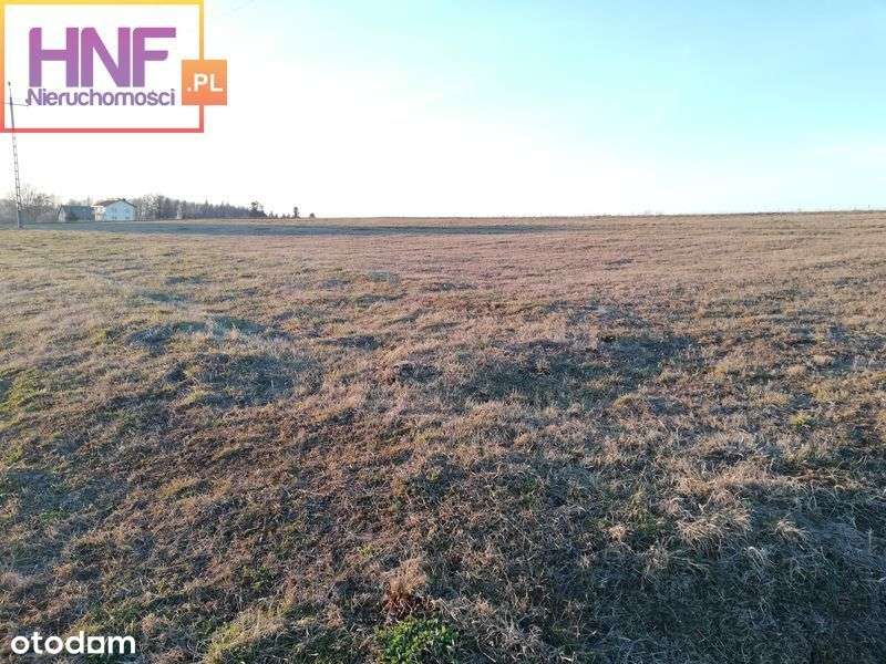 Działka w Koniuszowej 39ar - Pełny obrazek: 4/6