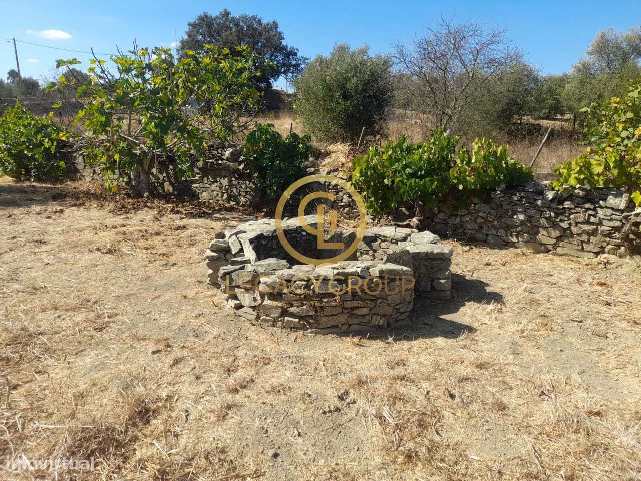 Terreno com árvores de fruto e dois poços em São Pedro de Solis – M... - Grande imagem: 4/39