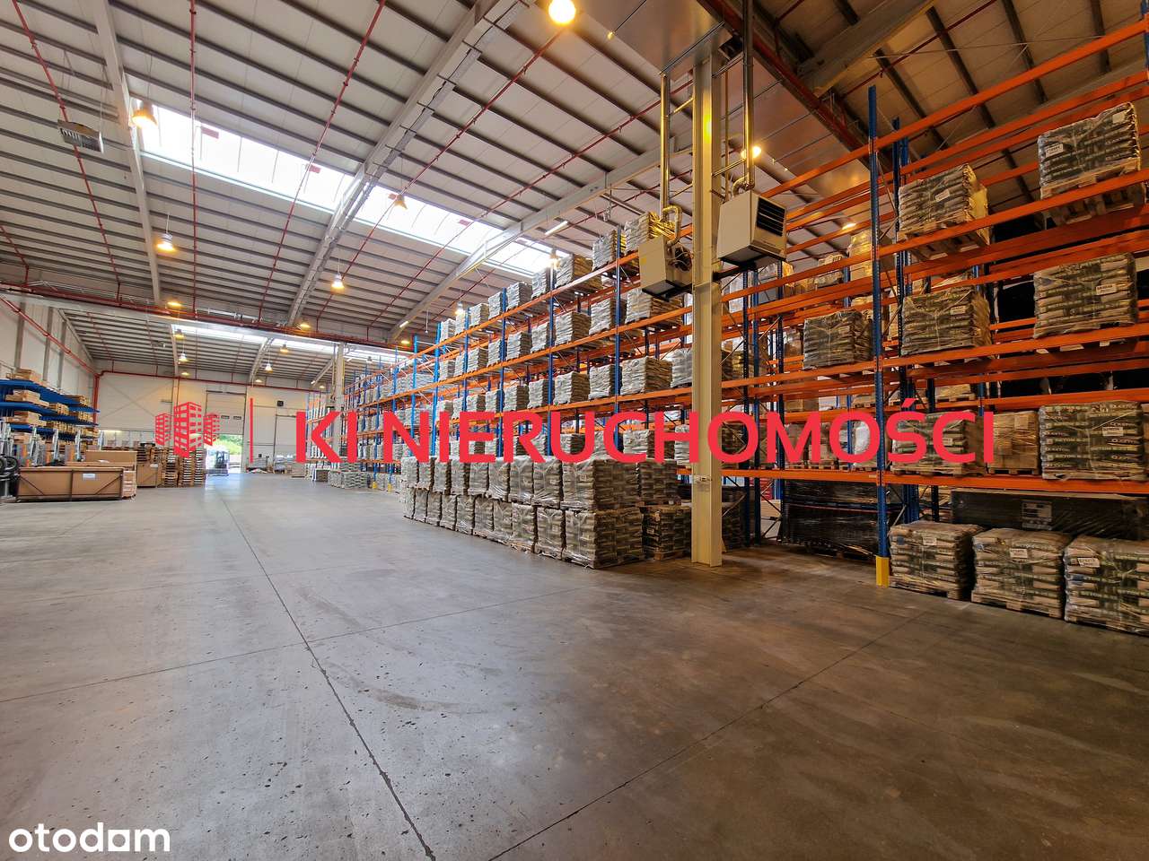 Hala z biurem I doki I duże bramy z poziomu 0 I Plac - 0% prowizji - Pełny obrazek: 4/15