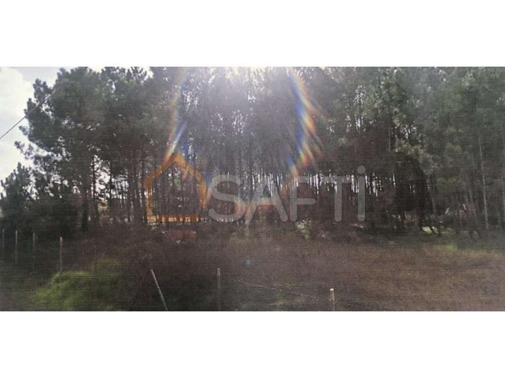 Terreno com projeto aprovado em Pataias, Alcobaça - Grande imagem: 3/5