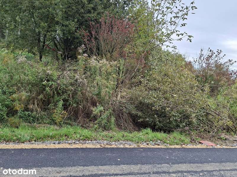 Działka budowlana 35-arowa k/ Krakowa - Pełny obrazek: 4/5