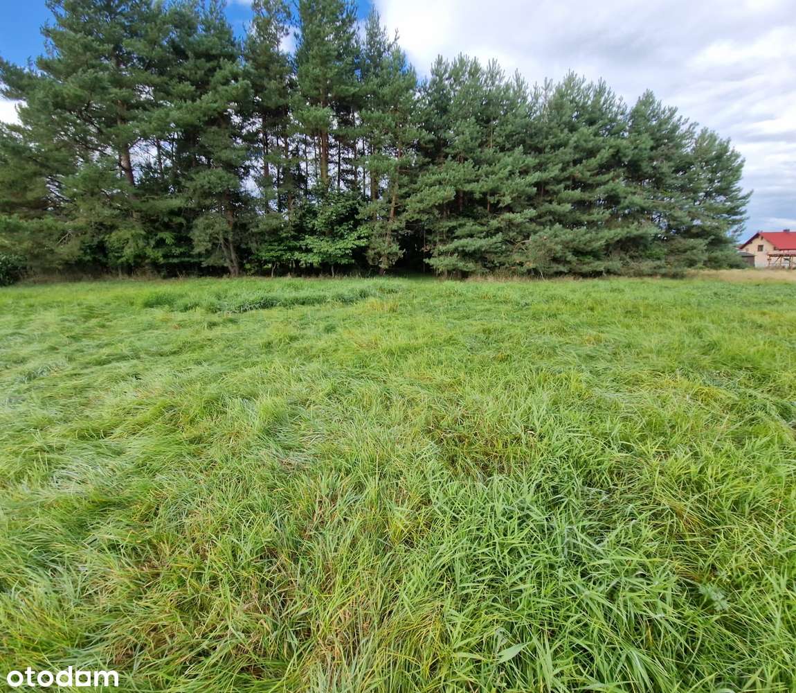 NOWA CENA. Na sprzedaż dom w Moszczance o pow. użytkowej 130m2-16
