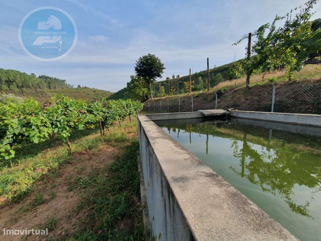 Quintinha à venda- Arco de Baúlhe-58