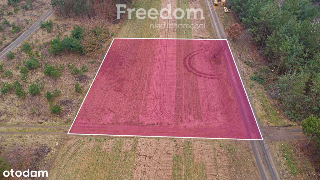 Piękna działka 1500 m2 w Grzegorzewicach - Pełny obrazek: 4/20