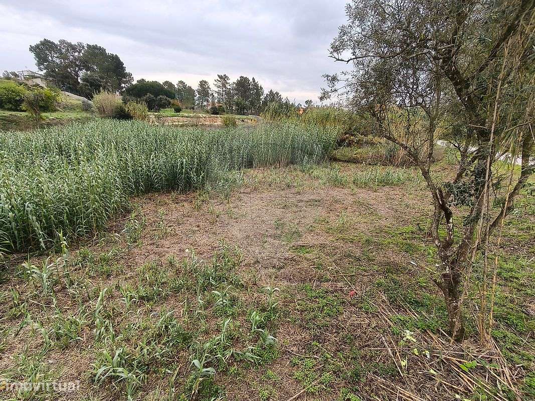 Terreno  para venda - Grande imagem: 2/9