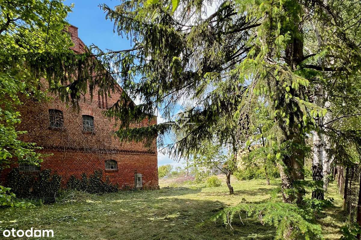 Wyjątkowa ceglana stodoła – 1558 m² działki - Pełny obrazek: 5/14