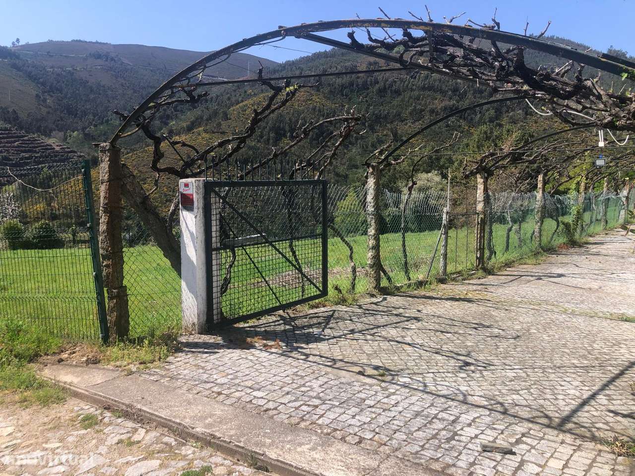 Quinta espetacular na região do vinho verde em plena produção-30