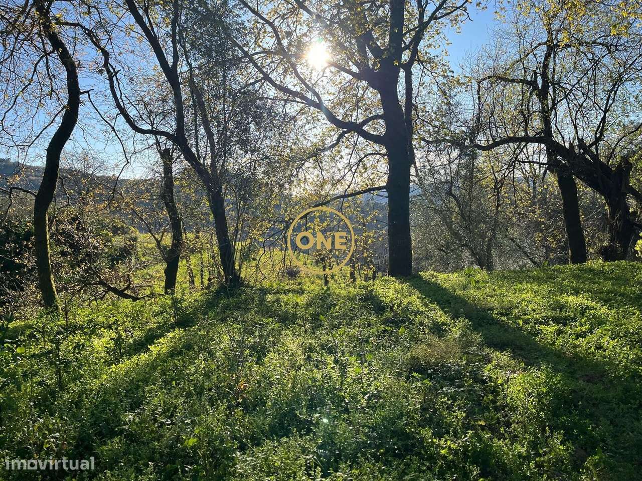 Ruína para Remodelar em Terras de Bouro, Chorense – 1.311 m2 de Terren - Grande imagem: 5/24