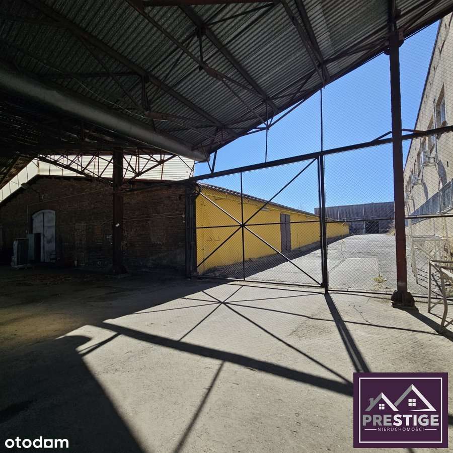 Do wynajęcia hala magazynowo-prdukcyjna blisko cen - Pełny obrazek: 5/8