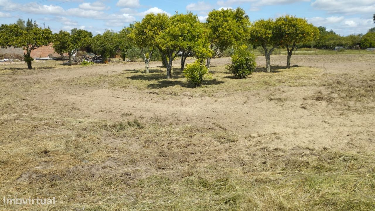 Vende-se Qintinha em Vendas Novas - Grande imagem: 1/11
