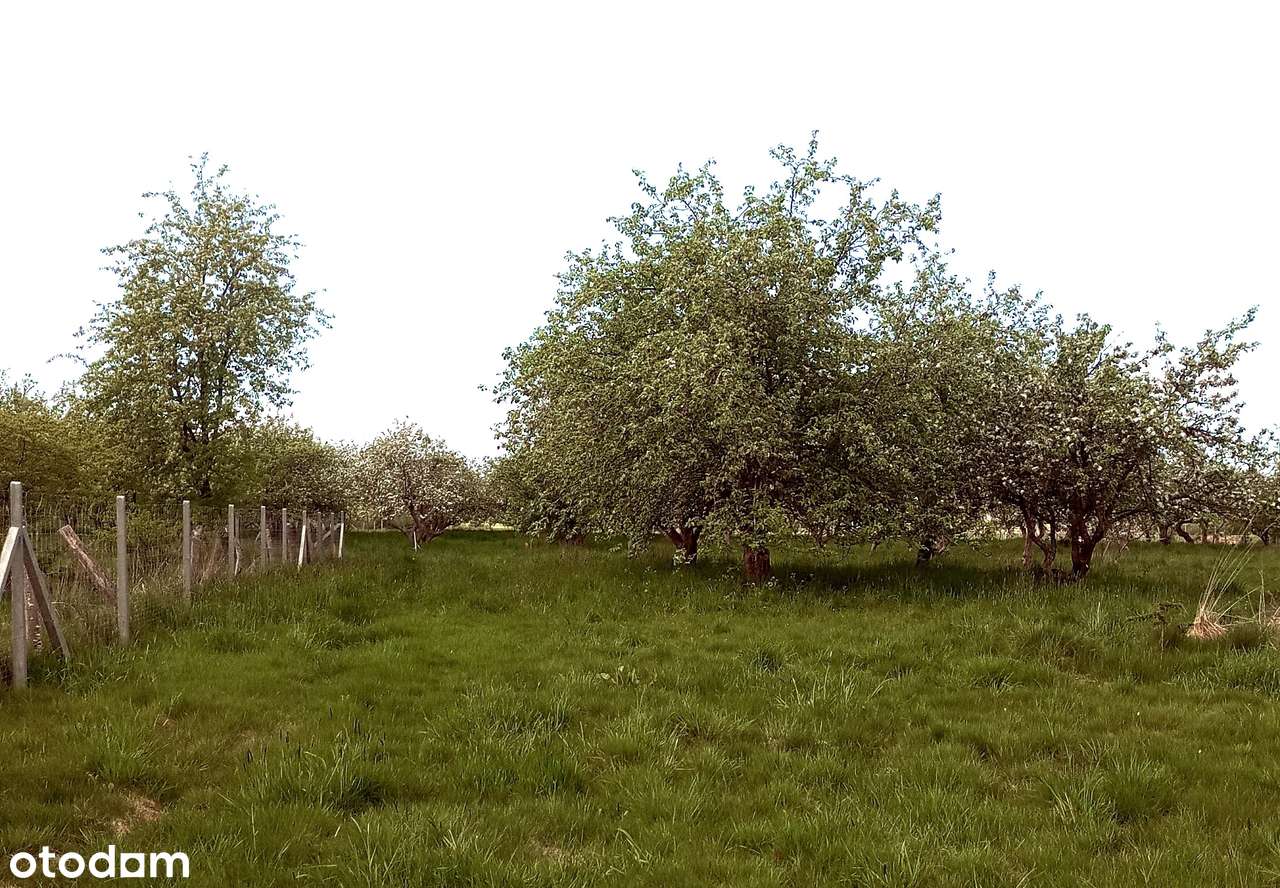 Sprzedam działkę z warunkami zabudowy blisko morza i Międzywodzia - Pełny obrazek: 3/9