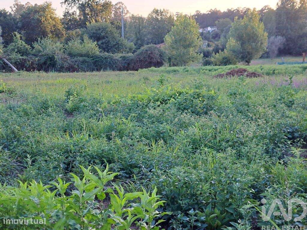 Terreno em Freiriz de 3900,00 m2 - Grande imagem: 4/18