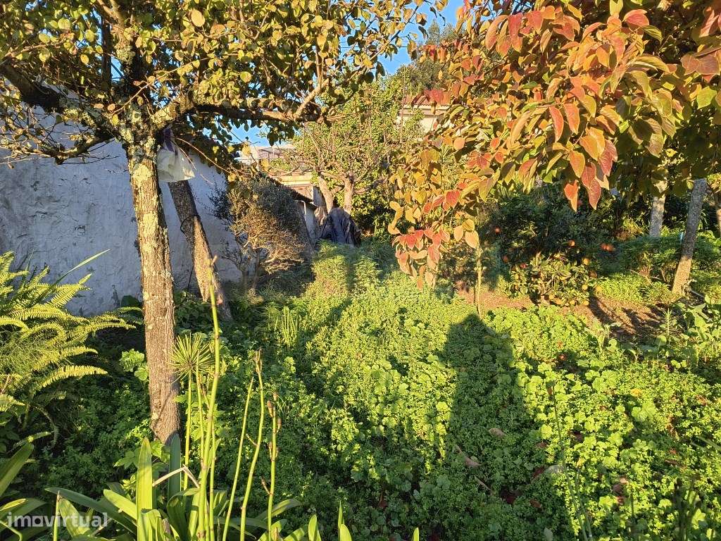 Terreno com casa para restaurar-8