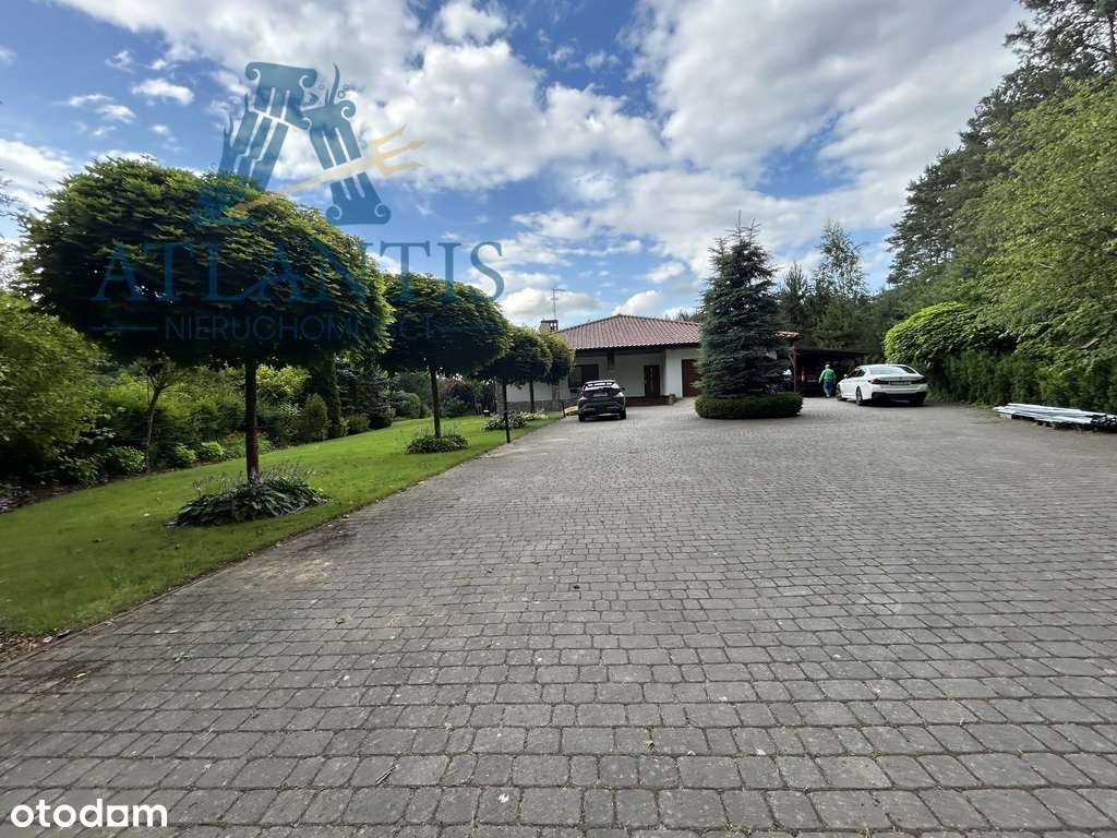 Dom pośród lasu , sauna, basen - Pełny obrazek: 4/20