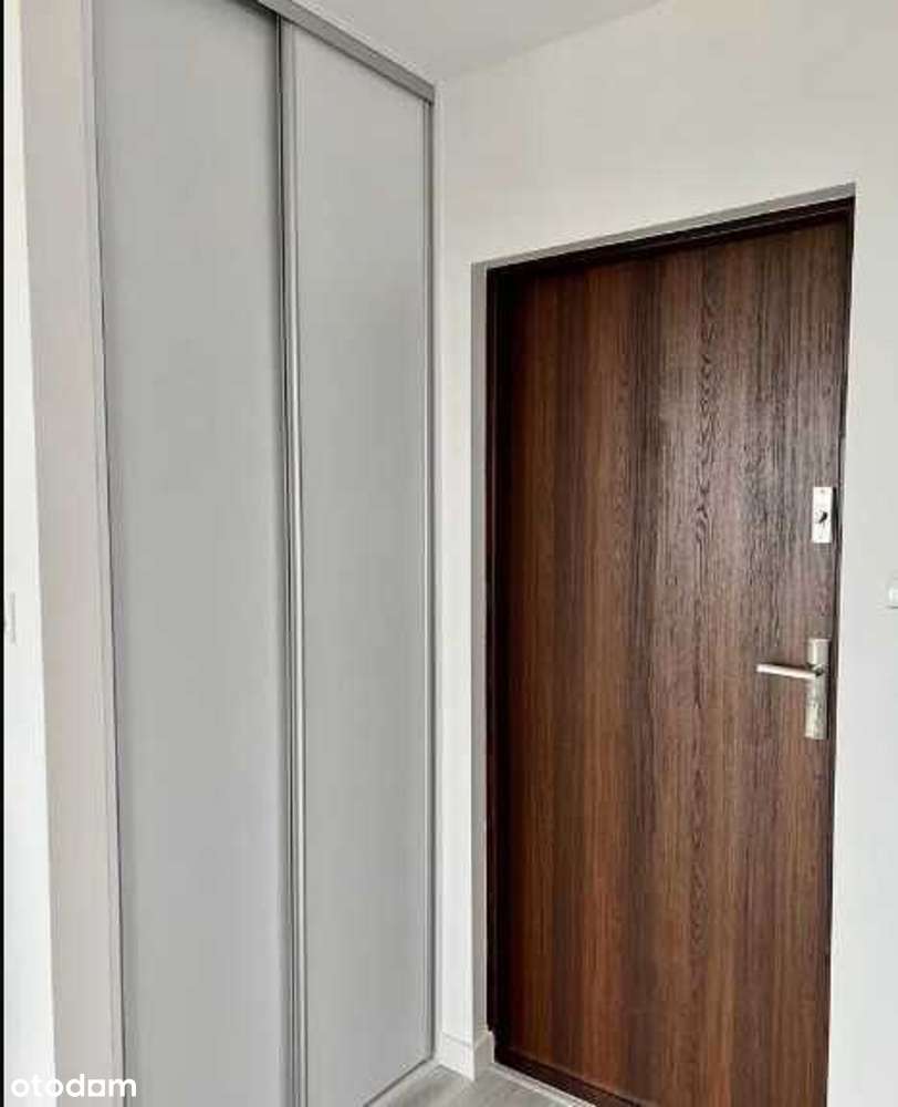 Kawalerka po kapitalnym remoncie Piątkowo - Pełny obrazek: 4/9