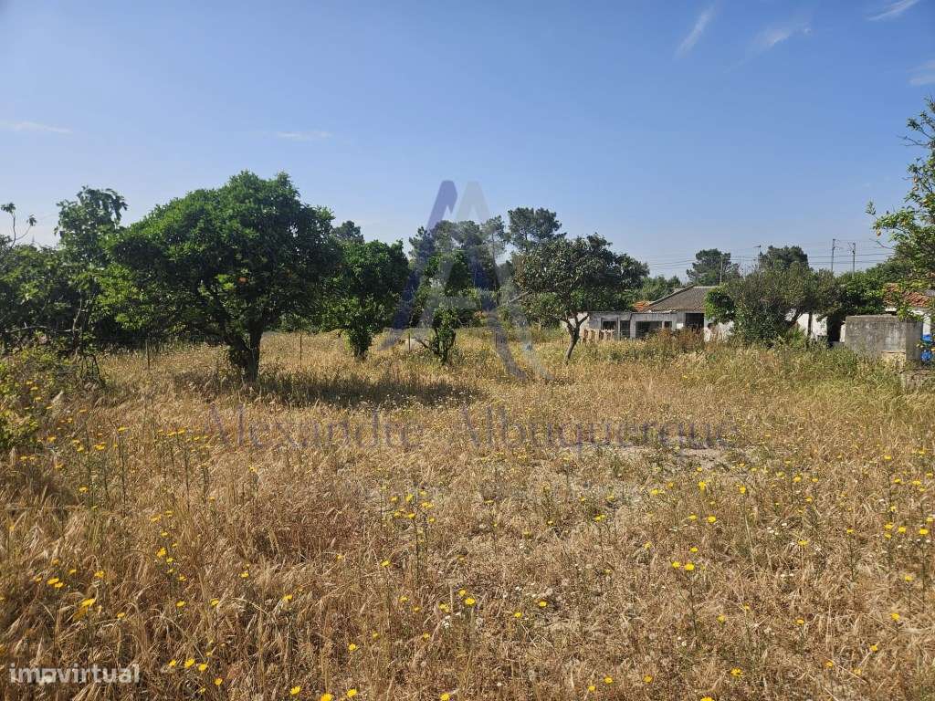 Quinta com 3 Habitações | Pinhal Novo | Terreno 5.400 m²-15