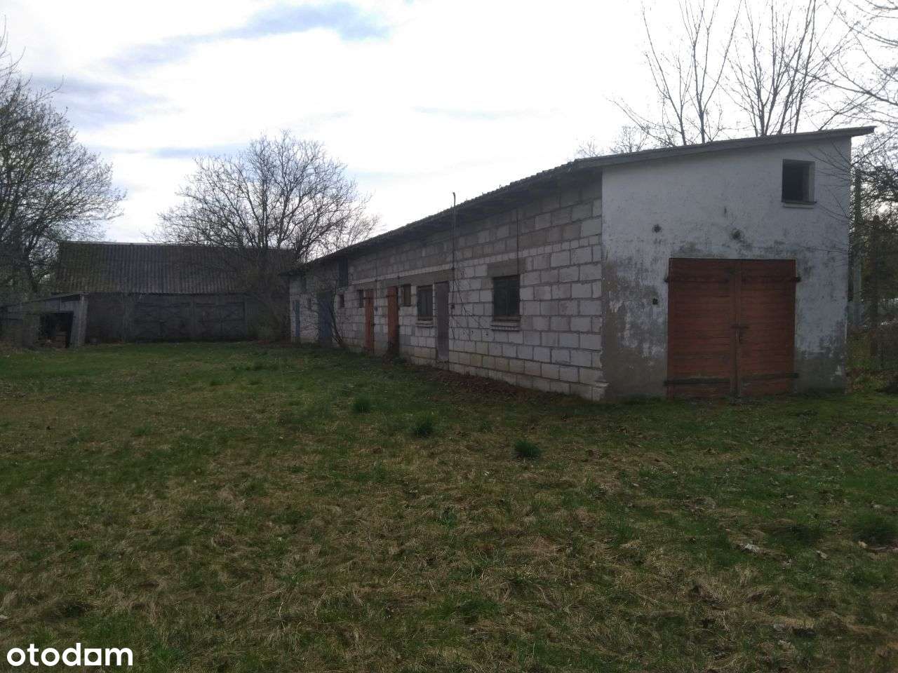 Dom na dużej działce z budynkiem gospodarczym - Pełny obrazek: 5/9